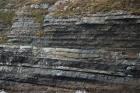 Kilcredaun Cliffs in the vicinity of the Kilcredaun lighthouse. Outcropping in these cliffs are thin bedded turbidite channel fill and turbidite sand lobes in the Upper Carboniferous Namurian Ross Formation. Photographs taken from the fishing vessel Draiocht out of Carrigaholt on the northern shore of the Shannon Estuary.