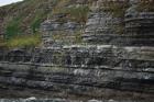 Kilcredaun Cliffs in the vicinity of the Kilcredaun lighthouse. Outcropping in these cliffs are thin bedded turbidite channel fill and turbidite sand lobes in the Upper Carboniferous Namurian Ross Formation. Photographs taken from the fishing vessel Draiocht out of Carrigaholt on the northern shore of the Shannon Estuary.