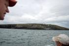 Kilcredaun Cliffs in the vicinity of the Kilcredaun lighthouse. Outcropping in these cliffs are thin bedded turbidite channel fill and turbidite sand lobes in the Upper Carboniferous Namurian Ross Formation. Photographs taken from the fishing vessel Draiocht out of Carrigaholt on the northern shore of the Shannon Estuary.