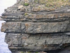 The Ross Formation of Loop Head is here expressed as turbidite sheet sands that accumulated as deepwater fan lobes that were dissected by sparse shallowly incised channels