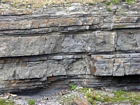 The Ross Formation of Loop Head is here expressed as turbidite sheet sands that accumulated as deepwater fan lobes that were dissected by sparse shallowly incised channels