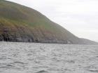 Rehy Cliffs exposing two channelled amalgamated deepwater fills, offset from each other. The lower channel is just above present sea level, highlighted by gull droppings. Ross Sandstone probably in mid fan position towards center of fan body.