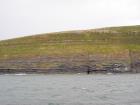 Rehy Cliffs thin bedded interfingering inter channel sands overlying a sandstone body representing an amalgamated deepwater channel fill just above the present sea level, highlighted by gull droppings. Ross Sandstone Formation probably in mid fan position towards center of fan body.