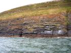 Rehy Cliffs thin bedded interfingering inter channel sands overlying a sandstone body representing an amalgamated deepwater channel fill just above the present sea level, highlighted by gull droppings. Ross Sandstone Formation probably in mid fan position towards center of fan body.