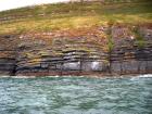 Rehy Cliffs thin bedded interfingering inter channel sands overlying a sandstone body representing an amalgamated deepwater channel fill just above the present sea level, highlighted by gull droppings. Ross Sandstone Formation probably in mid fan position towards center of fan body.