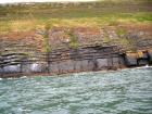 Rehy Cliffs thin bedded interfingering inter channel sands overlying a sandstone body representing an amalgamated deepwater channel fill just above the present sea level, highlighted by gull droppings. Ross Sandstone Formation probably in mid fan position towards center of fan body.