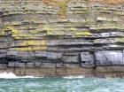 Rehy Cliffs thin bedded interfingering inter channel sands overlying a sandstone body representing an amalgamated deepwater channel fill just above the present sea level, highlighted by gull droppings. Ross Sandstone Formation probably in mid fan position towards center of fan body.