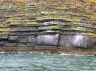 Rehy Cliffs thin bedded interfingering inter channel sands overlying a sandstone body representing an amalgamated deepwater channel fill just above the present sea level, highlighted by gull droppings. Ross Sandstone Formation probably in mid fan position towards center of fan body.