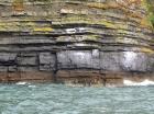 Rehy Cliffs thin bedded interfingering inter channel sands overlying a sandstone body representing an amalgamated deepwater channel fill just above the present sea level, highlighted by gull droppings. Ross Sandstone Formation probably in mid fan position towards center of fan body.