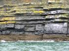 Rehy Cliffs thin bedded interfingering inter channel sands overlying a sandstone body representing an amalgamated deepwater channel fill just above the present sea level, highlighted by gull droppings. Ross Sandstone Formation probably in mid fan position towards center of fan body.