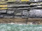 Rehy Cliffs thin bedded interfingering inter channel sands overlying a sandstone body representing an amalgamated deepwater channel fill just above the present sea level, highlighted by gull droppings. Ross Sandstone Formation probably in mid fan position towards center of fan body.