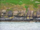 Rehy Cliffs exposing two channelled amalgamated deepwater fills, offset from each other. The lower channel is just above present sea level, highlighted by gull droppings. Ross Sandstone probably in mid fan position towards center of fan body.