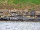 Rehy Cliffs exposing two channelled amalgamated deepwater fills, offset from each other. The lower channel is just above present sea level, highlighted by gull droppings. Ross Sandstone probably in mid fan position towards center of fan body.