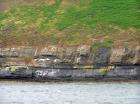 Rehy Cliffs exposing two channelled amalgamated deepwater fills, offset from each other. The lower channel is just above present sea level, highlighted by gull droppings. Ross Sandstone probably in mid fan position towards center of fan body.