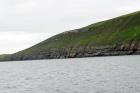 Rehy Cliffs exposing two channelled amalgamated deepwater fills, offset from each other. The lower channel is just above present sea level, highlighted by gull droppings. Ross Sandstone probably in mid fan position towards center of fan body.