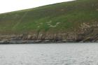 Rehy Cliffs two offset but stacked deepwater channels. Morphology and frequency suggest a mid turbidite fan position for these Ross Sands. These lower sandbodies are erosionally amalgamated and show wing like extension into finer sediment.