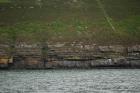 Rehy Cliffs two offset but stacked deepwater channels. Morphology and frequency suggest a mid turbidite fan position for these Ross Sands. These lower sandbodies are erosionally amalgamated and show wing like extension into finer sediment.