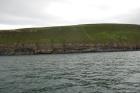 Rehy Cliffs two offset but stacked deepwater channels. Morphology and frequency suggest a mid turbidite fan position for these Ross Sands. These lower sandbodies are erosionally amalgamated and show wing like extension into finer sediment.