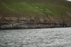 Rehy Cliffs two offset but stacked deepwater channels. Morphology and frequency suggest a mid turbidite fan position for these Ross Sands. These lower sandbodies are erosionally amalgamated and show wing like extension into finer sediment.