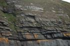 Rehy Cliffs mid turbidite fan channel of Ross Formation sands close to today's sea level. It is overlain by a diversity of thin interchannel sands.