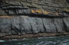 Rehy Cliffs mid turbidite fan channel of Ross Formation sands close to today's sea level. It is overlain by a diversity of thin interchannel sands.