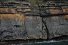 Rehy Cliffs mid turbidite fan channel of Ross Formation sands close to today's sea level. It is overlain by a diversity of thin interchannel sands.