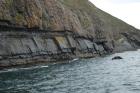 Rehy Cliffs two offset but stacked and amalgamated deepwater channels. Morphology and frequency suggest a mid turbidite fan position for these Ross Sands. Both channels show wing like extension into finer sediment.