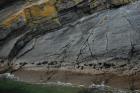 East end of Rehy Cliffs with detail of monoclinical fold in deepwater Ross Formation sands.