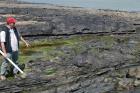 Eastern Rinevilla Point wave cut platform outcrops of Namurian Ross Formation. Note thin deepwater turbidite sheet sands of filled channels of the fan lobes.