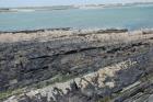 Eastern Rinevilla Point wave cut platform outcrops of Namurian Ross Formation. Note thin deepwater turbidite sheet sands of filled channels of the fan lobes.