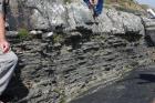 Western Rinevilla Point wave cut platform outcrops of Namurian Ross Formation. The thin deepwater turbidite channel sands of fan lobes interbedded with flazered shales, silts and sands of distal overbank areas.