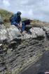 Western Rinevilla Point wave cut platform outcrops of Namurian Ross Formation. The thin deepwater turbidite channel sands of fan lobes interbedded with flazered shales, silts and sands of distal overbank areas.