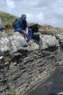 Western Rinevilla Point wave cut platform outcrops of Namurian Ross Formation. The thin deepwater turbidite channel sands of fan lobes interbedded with flazered shales, silts and sands of distal overbank areas.