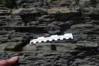 Western Rinevilla Point wave cut platform outcrops of Namurian Ross Formation. The thin deepwater turbidite channel sands of fan lobes interbedded with flazered shales, silts and sands of distal overbank areas.