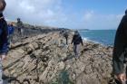 Western Rinevilla Point wave cut platform outcrops of Namurian Ross Formation. Note thin deepwater turbidite channel fill sheet sands of fan lobes.