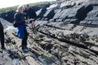 Western Rinevilla Point wave cut platform outcrops of Namurian Ross Formation. Note thin deepwater turbidite channel fill sheet sands of fan lobes.