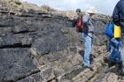 Western Rinevilla Point wave cut platform outcrops of Namurian Ross Formation. Note thin deepwater turbidite channel fill sheet sands of fan lobes.