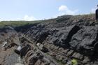 Western Rinevilla Point wave cut platform outcrops of Namurian Ross Formation. Note thin deepwater turbidite channel fill sheet sands of fan lobes.