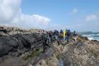 Western Rinevilla Point wave cut platform outcrops of Namurian Ross Formation. Note thin deepwater turbidite channel fill sheet sands of fan lobes.