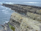 Bedded Ross Formation deepwater sandstone and shale rich sheets.