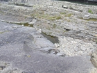 Megaflute and rippled surface of Ross Formation overlain by irregularly bedded sandstone and shale rich sheets of deepwater lobes and their fill.