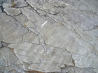 Gently rippled bedding plane surface of Ross Formation.