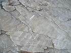 Gently rippled bedding plane surface of Ross Formation.