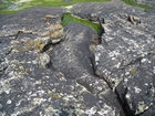 Irregularly bedded sandstone and shaley sheets of deepwater lobes of Ross Formation. The bedding plane of a hummocky irregularly scoured surface associated with the megaflutes.