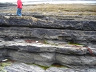 Spanish Point Cyclothem 4 and Doonlicky Co Clare