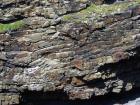 Tullig Formation channel fill sands of Upper Carboniferous or Namurian age. Channeling and sorting of the quartz rich character of the sands of the delta front reflect waves impinging on the delta front sands that filled distributary channels and/or proximal bar sands (Andy Pulham personal communication and Martinsen et al., 2008).