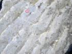 Rippled surface of the channeled sands of Upper Carboniferous or Namurian age (Andy Pulham personal communication and Martinsen et al., 2008).
