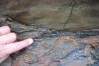 Coal fragments in eroded channel floor capped by well sorted quartz sand. Base of cliffed amphitheatre on south side of Trusklieve wave eroded cliff margin (Andy Pulham personal communication and Martinsen et al., 2008). Section part of Tullig Formation Upper Carboniferous or Namurian age delta front.