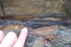 Coal fragments in eroded channel floor capped by well sorted quartz sand. Base of cliffed amphitheatre on south side of Trusklieve wave eroded cliff margin (Andy Pulham personal communication and Martinsen et al., 2008). Section part of Tullig Formation Upper Carboniferous or Namurian age delta front.