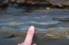 Alternations of silt, sand and mud with climbing ripples that accumulated just above wave base. Just above is the eroded base of channel with coal fragments. Location is base of cliffed amphitheatre on south side of Trusklieve wave eroded cliff margin (Andy Pulham personal communication and Martinsen et al., 2008). Section part of Tullig Formation Upper Carboniferous or Namurian age delta front.